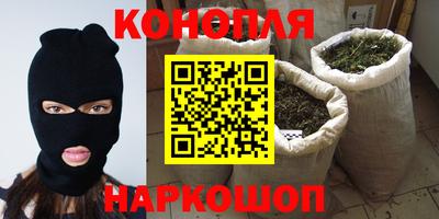 сатива Кунгур