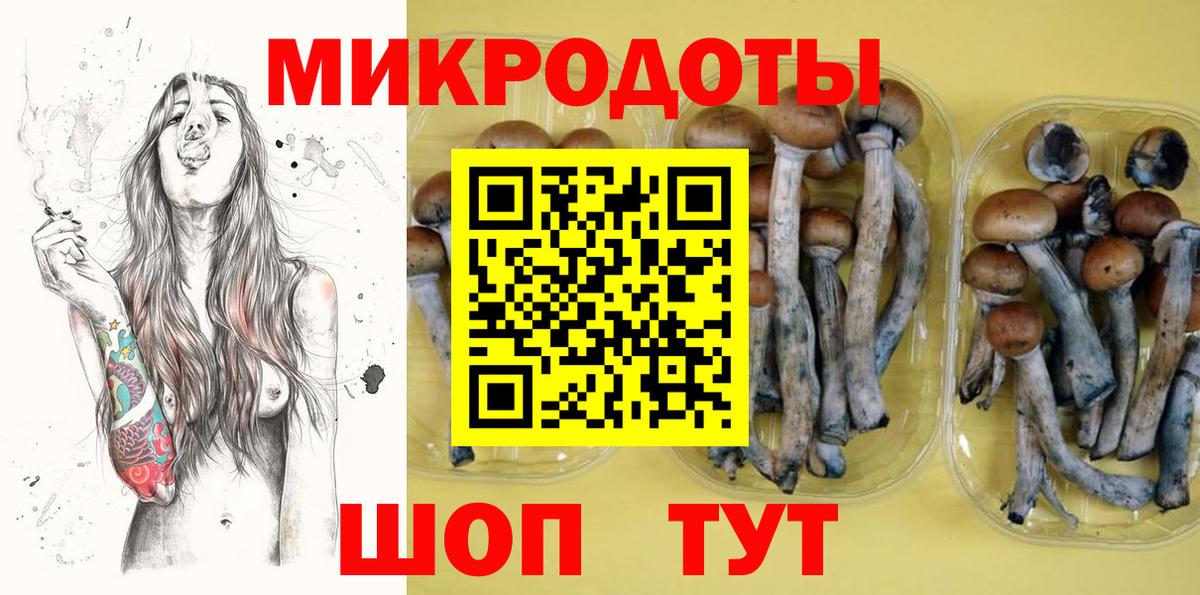 Карпинск  Псилоцибиновые грибы GOLDEN TEACHER  Вход с VPN  Галлюциногенные грибы мухоморы 